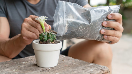 The man holds a pot to plant a cactus.の写真素材