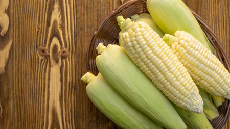 Pure white corn on a wooden table.の写真素材