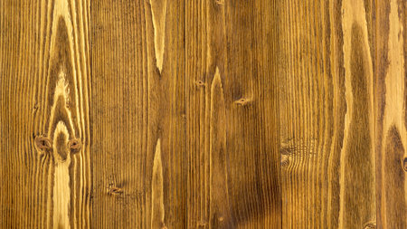 Close up of a brown wooden plate for a background.の写真素材