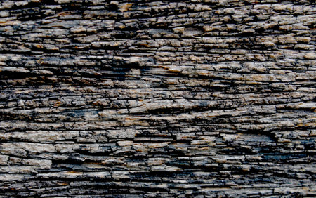 old wood texture
