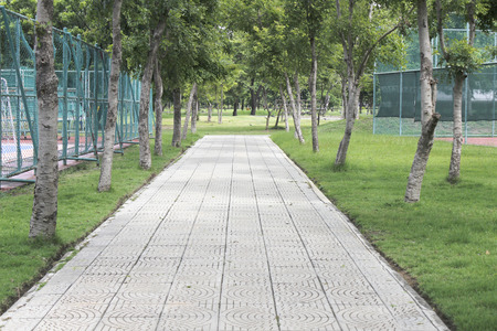 pathway in the park