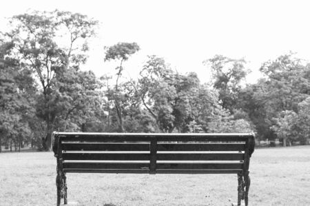 Bench in black and whiteの写真素材