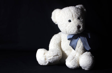 white teddy