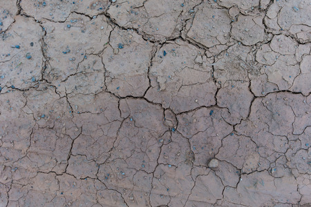 Cracked ground texture