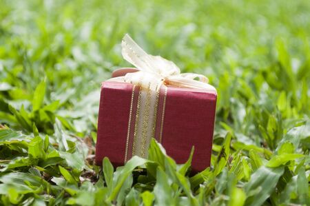 red box gifts and for congratulations lying on green grass in summer, blurredの写真素材