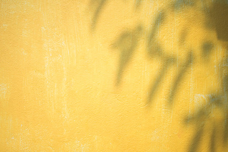 shadow on beautiful color background. soft focus.の写真素材