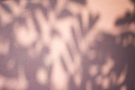 shadow on beautiful color background. soft focus.の写真素材