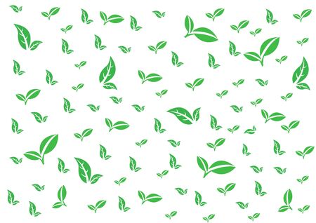 A green leaf of tree on white background.のイラスト素材