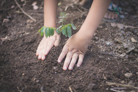 hand of children holding plant and soil with bokeh and nature background, save the world and World...