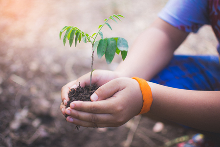 hand of children holding plant and soil with bokeh and nature background, save the world and World Environment Day concept at sunny day. subject is blurredの写真素材
