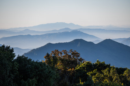 beautiful view of mountain with clouds at sunrise (Doi Inthanon National Park, Chiang Mai), soft...