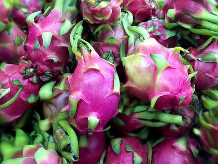 Dragon Fruits - Rich in Antioxidantsの写真素材