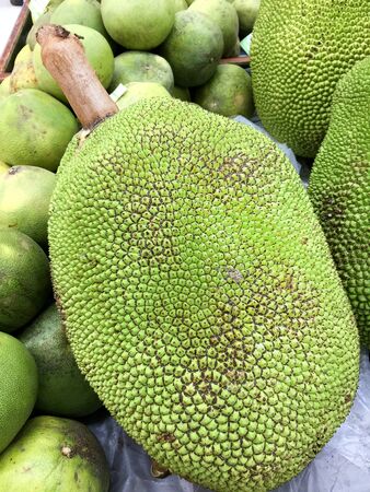 Jack fruit with a Stem