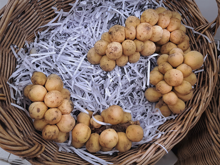 Bunch of Langsat Fruit in Woven Basket