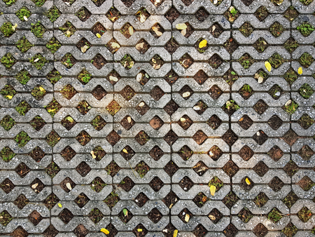 Full Frame Background of Figure Eight Tiled Floor with Small Leaves and Sun Light on Surfaceの写真素材