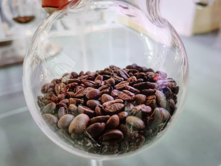 Roasted Coffee Beans Inside Spherical Glass Container with Selective Focusの写真素材
