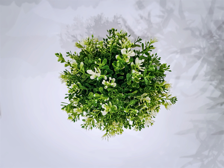 High Angle View of Artificial Plant on White Backgroundの写真素材