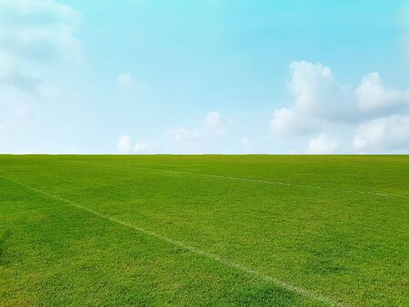 Background of Green Grass Field and Horizon Against Blue Cloudy Sky