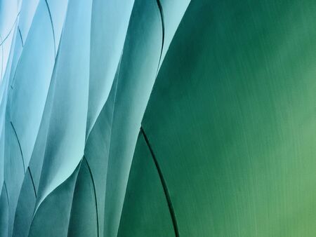 Full Frame Background of Curve Pattern on Green Wallの写真素材