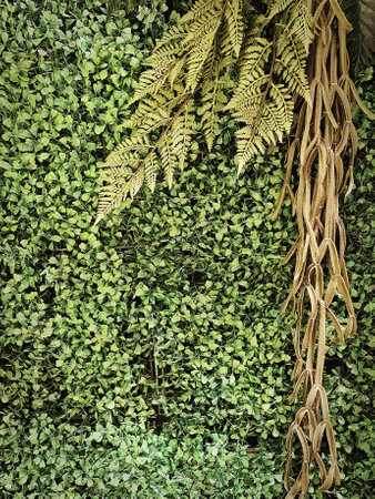 Full Frame Background of Artificial Climbing Plants Wall