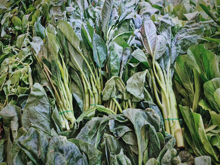 Full Frame Background of Pile of Fresh Green Vegetables for Sale