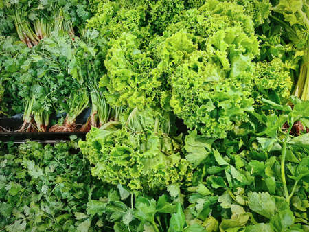 Full Frame Background of Various Kinds of Fresh Green Vegetables for Saleの写真素材