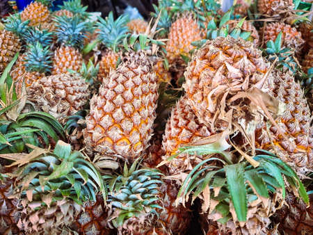 Pile of Ripe Pineapples for Sale at Market Stallの写真素材