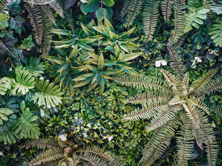 Full Frame Background of Various Kinds of Green Artificial Plants Wallの写真素材