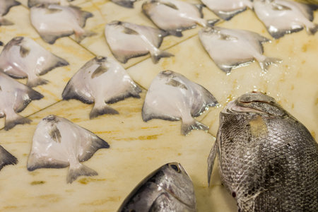 various sea fishes kept together for sale in fish market of india. fresh catch from sea.