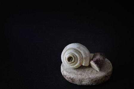 puja essentials conch shell with sandalwood stick and stone. symbolic to the rituals during hindu religious festivals like durga puja.の写真素材