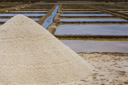 Harvesting salt from drying sea water brine in pits using sunlight. This premitive technique is used in coastal areas of odisha, india. The harvested salt is piles up for further refining.の写真素材