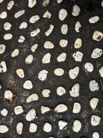 small white stones neatly lined up