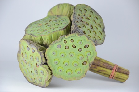 Isolated bunch of lotus seedsの写真素材