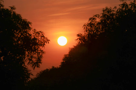 Light sunset with of beautiful light orange 