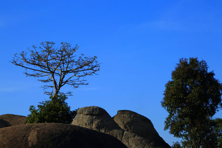Stonehenge  Thailand  in  stone  field  âMo Hin  Khawâ of  Chaiyaphum  province, Thailandの写真素材
