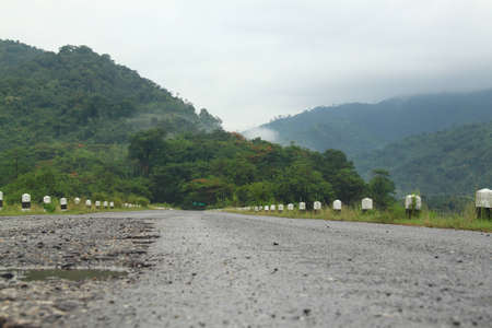 Road after the rain the rain forestsの写真素材