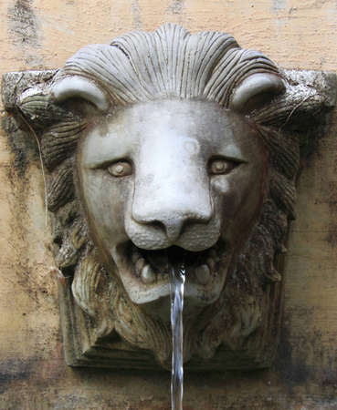 fountain lion head grunge background の写真素材