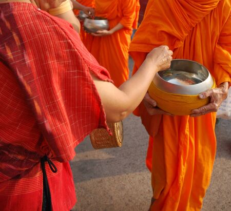 offer food to monkの写真素材