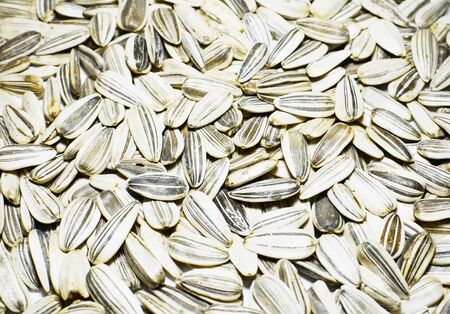 sunflower seeds