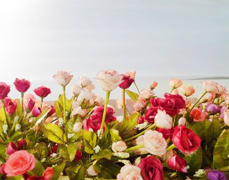 Fabric rose flower backgroundsの写真素材