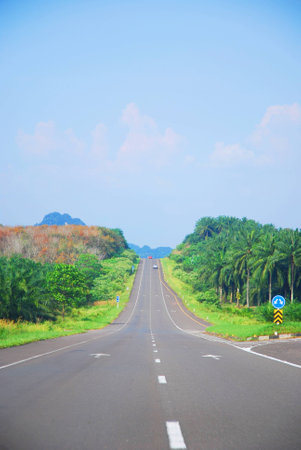 Cameras we wear travel on the road  Landscape の写真素材