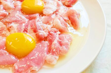 Meat, ferment with milk eggs and sesameの写真素材
