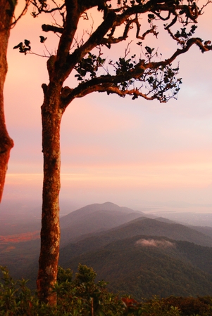 Sunset  at national parkの写真素材