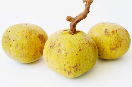 Santol fruit-meliaceaeの写真素材
