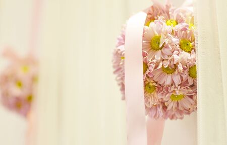 flower backgroundの写真素材