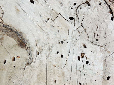 wood  backgroundの写真素材