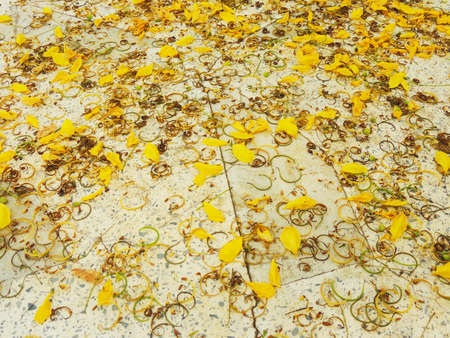 Art  backgroundの写真素材