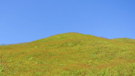 Landscape of mountain at  nationalpark in Thailand.の写真素材