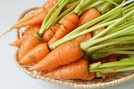 Fresh baby carrots Isolatedの写真素材