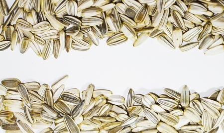 sunflower seeds isolate on white  backgroundの写真素材